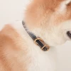 Wholesale Plain Color Genuine Leather Adjustable Pet Dog Collar Leash