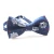 Import Wholesale various design silk bow tie from China