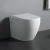Import WP1002 Factory direct sell washdown wall hung toilet bowl with concealed cistern from China