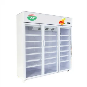 Xiamen factory kecil es display meja mini freezer beverage display cooler freezer ice cream freezer used