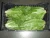 Import Fresh romaine lettuce fresh vegetables from China