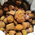Wholesale Haoze Supply Ox Gallstones & Cow Bezoar From Cattle Bulk Pack for Feed Use EU Market Prices
