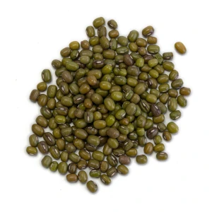 High-Quality Green Beans for Bulk Distribution in Food Manufacturing with Rich Vitamin and Mineral