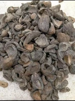 Palm kernel shell PKS