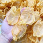 Dried Fish Gelatin