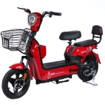 Electric Bike with Long Range Battery and Lightweight Frame