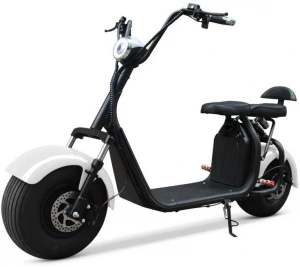 Citycoco cruiser electric scooter double seats
