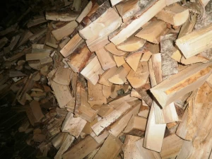 Agent / resallers Interesting start export Firewood