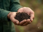 100% Organic Vermicompost Fertilizer