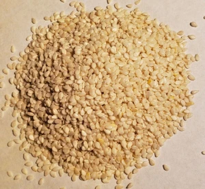 Dehusked Sesame Seeds For Sale Grade A