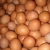 Import Fresh Table Chicken Eggs ( Brown and White) from South Africa