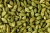Import Dried Green Cardamom for Wholesale (100% premium Quality) from United Arab Emirates