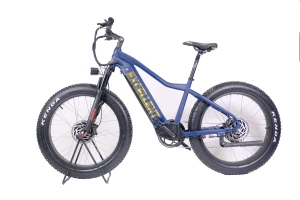 Dual motor 160NM electric Moutain hunting fishing bike fat tire