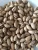 Import Pistachio Nuts from Republic of Türkiye