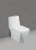 Import One piece toilet from India