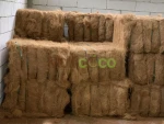 Coconut Coir Fiber
