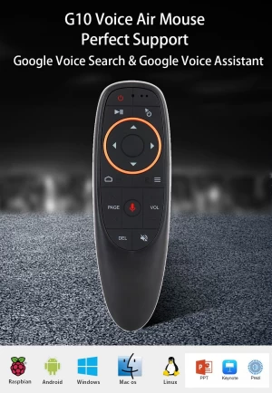 G10 Voice assistant remote