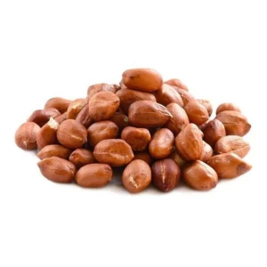 Top Peanut Exporter | Wholesale Supply | Global Delivery