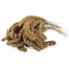 Wholesale Best Selling Premium Pearl Millet Seeds Yellow Dried Pearl Millet Best Price Red Yellow Millet