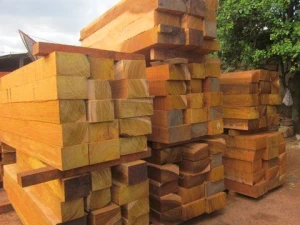 Okan Hardwood Logs