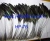 Import Stripped black rooster tail feather from China