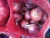Import fresh red onions from Egypt