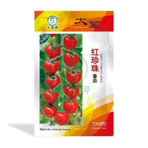 Early Maturing Fruit Red Pearl Tomato Seeds      Tomato Seeds Wholesale