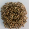 Indonesian Robusta Green Coffee Beans – Ijen Mountain (Conuga) | Natural