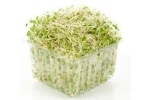 King Grass for Cattles Alfalfa Hay