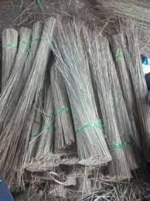 Best Quality White Coconut Brooms Sticks