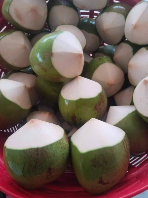 FRESH YOUNG THAI COCONUT NAM HOM IN DIAMOND SHAPE