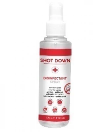 Disinfectant Spray (170 ml vapo)