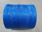 PE Twine Twisted Plastic String Fishing Rope Polyethylene PE Twine Baler twine