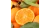Import Fresh Oranges from USA
