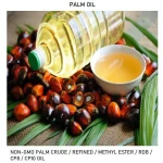 NON-GMO Palm OIL CRUDE / REFINED / METHYL ESTER / RDB / CP8 / CP10 OIL