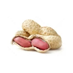 Wholesale Peanuts bulk supply cheap price fast delivery quality
