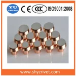 Electrical Rivet Silver Copper Contact for Circuit Breaker