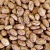 Import Top Quality Fresh Pinto Beans Available In Bulk Pinto Beans Natural And Healthy Choice For Wholesale Buyers from Germany