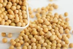 Organic soybean