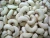 Import Cashew Nuts from Tanzania
