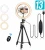 Import Ring Light Sensyne LED Circle Lights with Phone Holder for Live StreamYouTube Video/TikTo from China