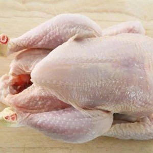 Best Quality Halal  Frozen   Chicken and all parts
