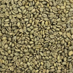 Specialty Arabica Coffee Beans – Export Quality Direct from Kenya