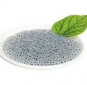 BASIL SEEDS BEST SELLER WITH HIGH QUALITY