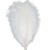 Import 10-12 inches Ostrich Feather Real Natural Feather for Home Decor Party Wedding Decorations (Champagne) from China