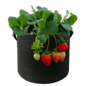 10 gallon china manufacturer fruit mushroom potato strawberry planting garden round fabric felt pot non-woven grow bags