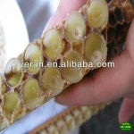 100% China Fresh Royal Jelly