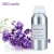Import 100% Pure Fragrance Oil Perfume for Hotel Aroma Diffuser Essential Oil Natural Scented Oil Pink Chance from China
