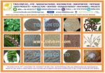 Frozen Dried Tida Kim, 100% Pure Fresh Mulberry Fruits From Vietnam
