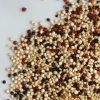 100% top quality White And Red Quinoa